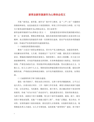 新常态新形象新作为心得体会范文 