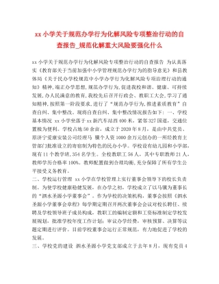 xx小学关于规范办学行为化解风险专项整治行动的自查报告_规范化解重大风险要强化什么 