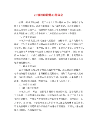 xx镇挂职锻炼心得体会 