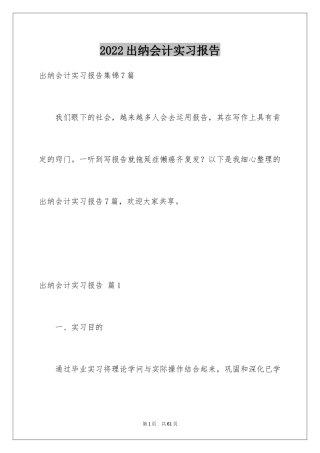 2024出纳会计实习报告