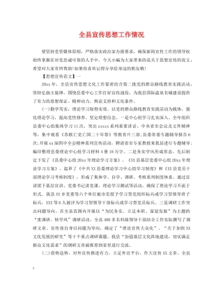 全县宣传思想工作情况