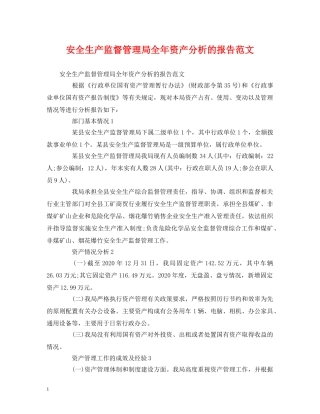 安全生产监督管理局全年资产分析的报告范文 