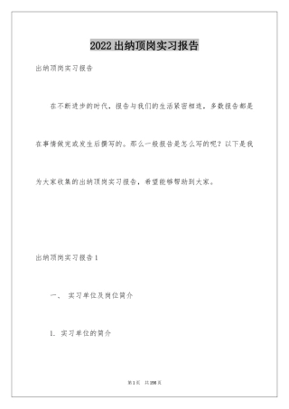 2024出纳顶岗实习报告_5