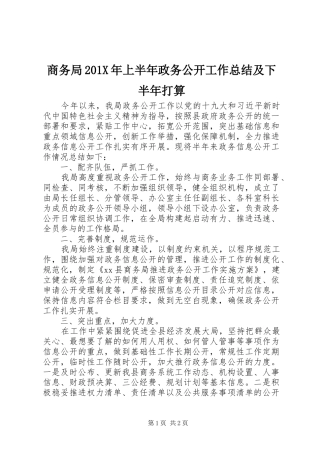 商务局202X年上半年政务公开工作总结及下半年打算