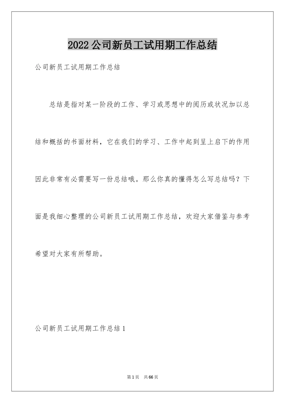 2024公司新员工试用期工作总结_6_第1页