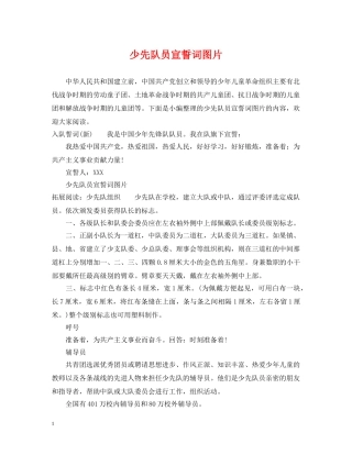 少先队员宣誓词图片 