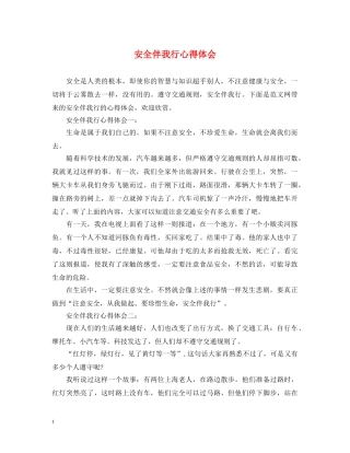 安全伴我行心得体会 