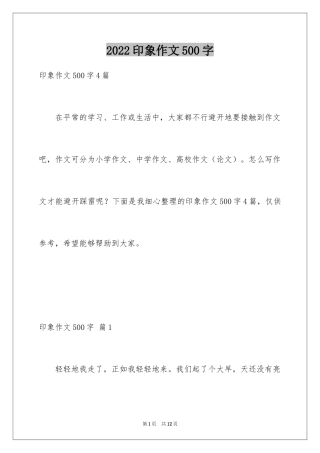 2024印象作文500字_2