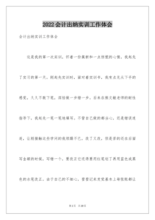 2024会计出纳实训工作体会