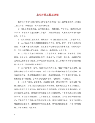 上司对员工转正评语
