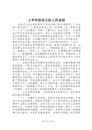 上半年治安大队工作总结 