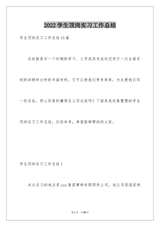 2024学生顶岗实习工作总结_2