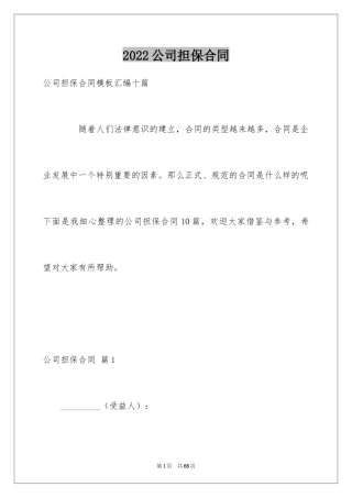 2024公司担保合同_24