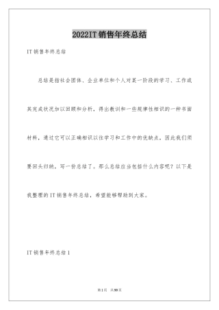 2024IT销售年终总结_2