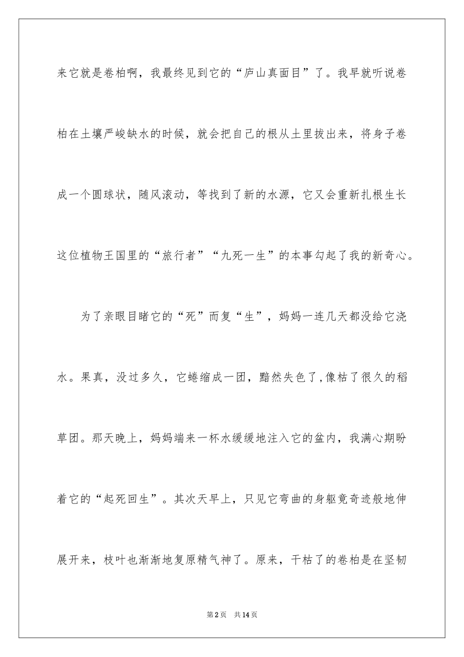 2024写物作文400字_75_第2页