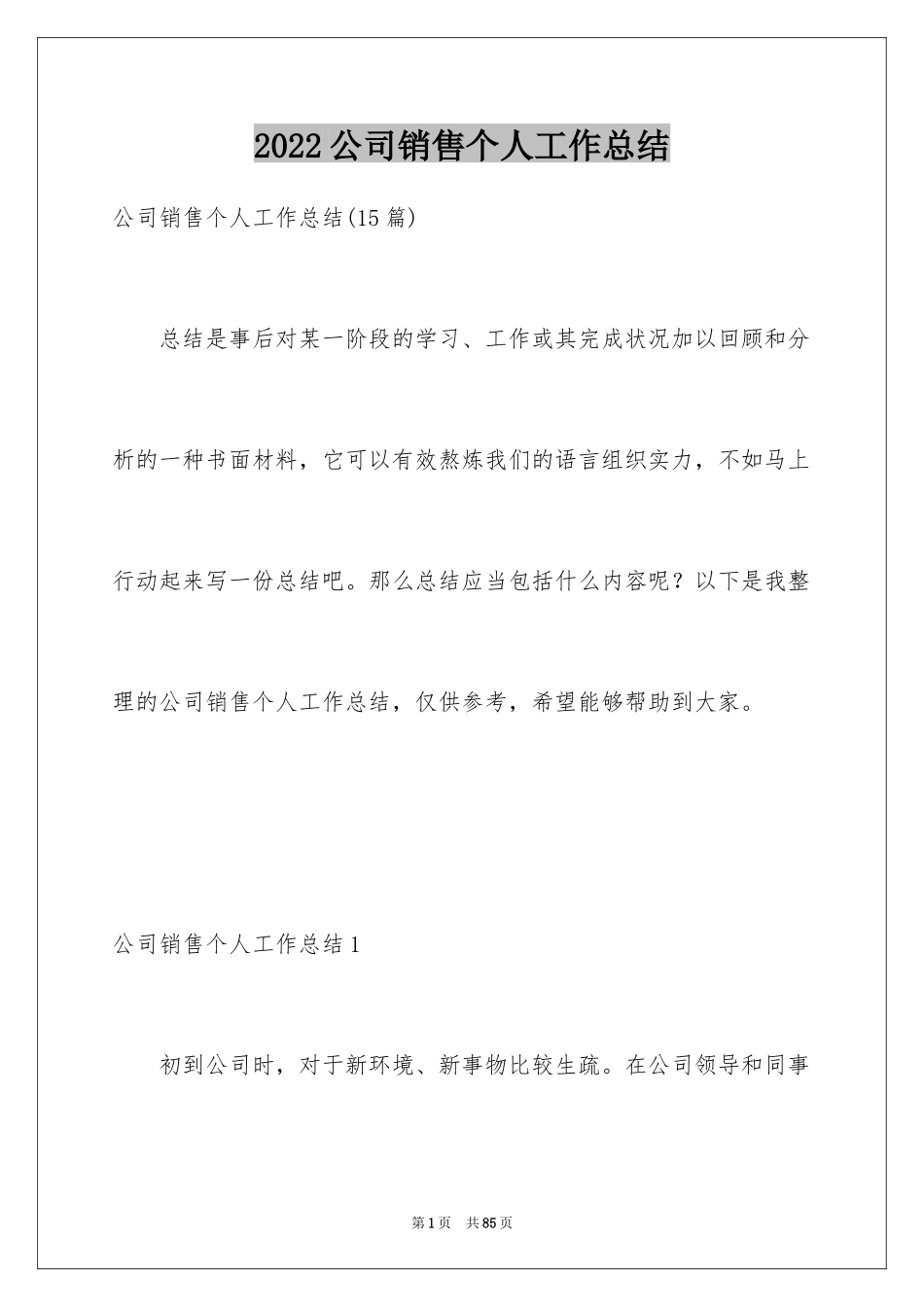 2024公司销售个人工作总结_2_第1页