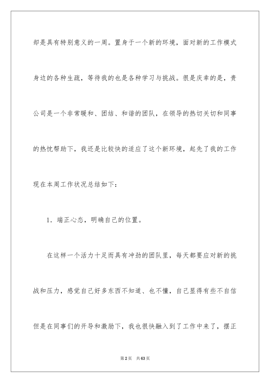 2024一周的工作总结_8_第2页