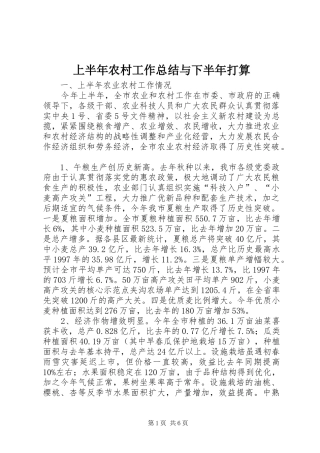 上半年农村工作总结与下半年打算 