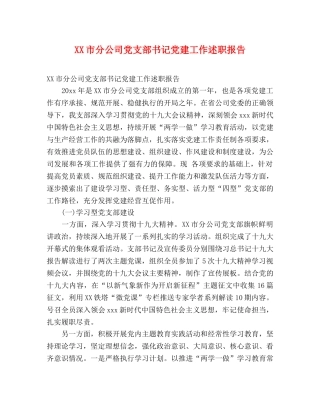 XX市分公司党支部书记党建工作述职报告 