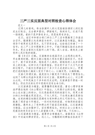 三严三实反面典型对照检查体会心得