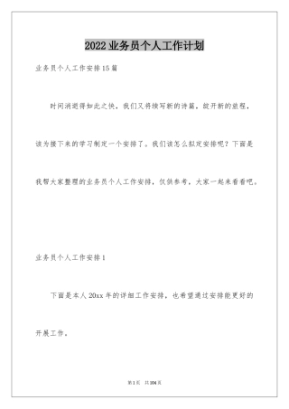 2024业务员个人工作计划_15