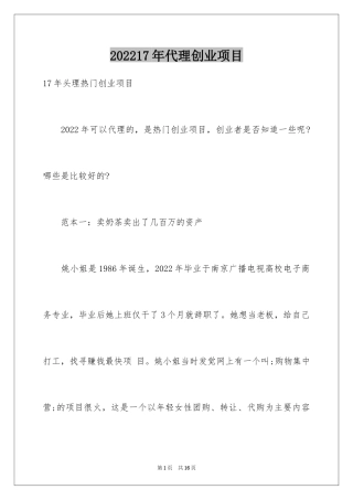 202417年代理创业项目