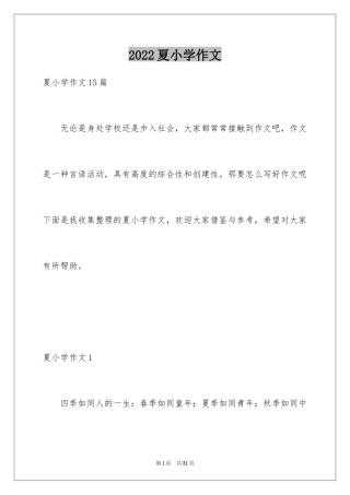 2024夏小学作文_6