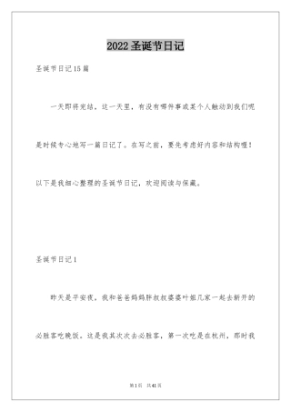 2024圣诞节日记_67