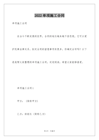 2024单项施工合同_2