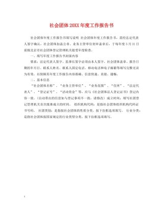 社会团体20XX年度工作报告书 