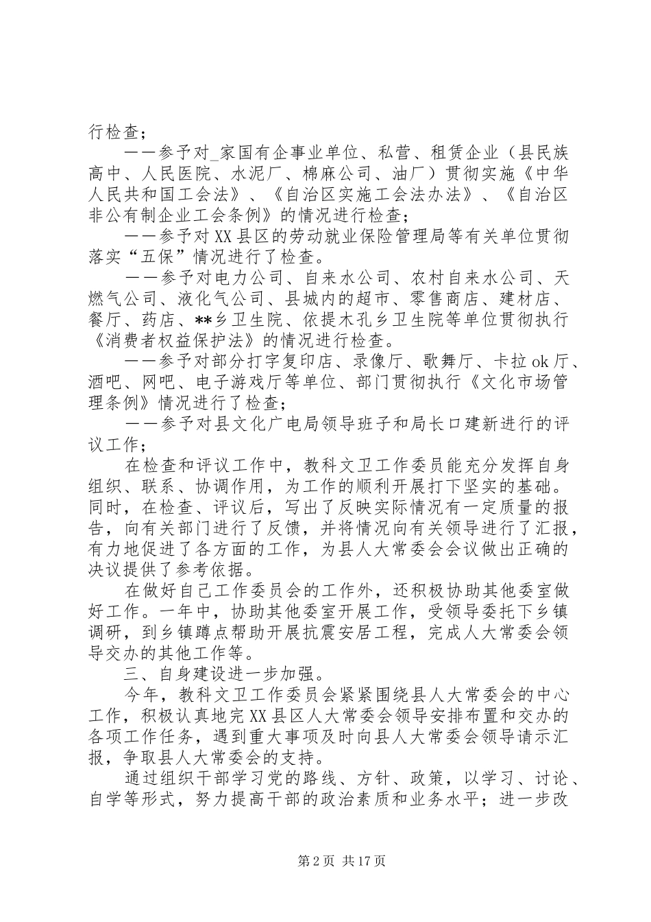 人大委个人工作总结(精选多篇) _第2页
