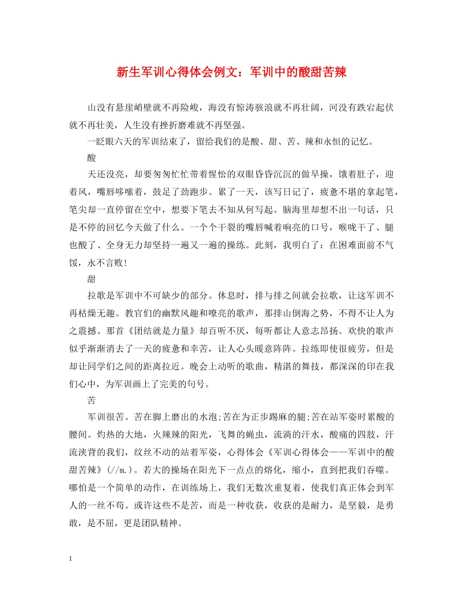 新生军训心得体会例文：军训中的酸甜苦辣 _第1页