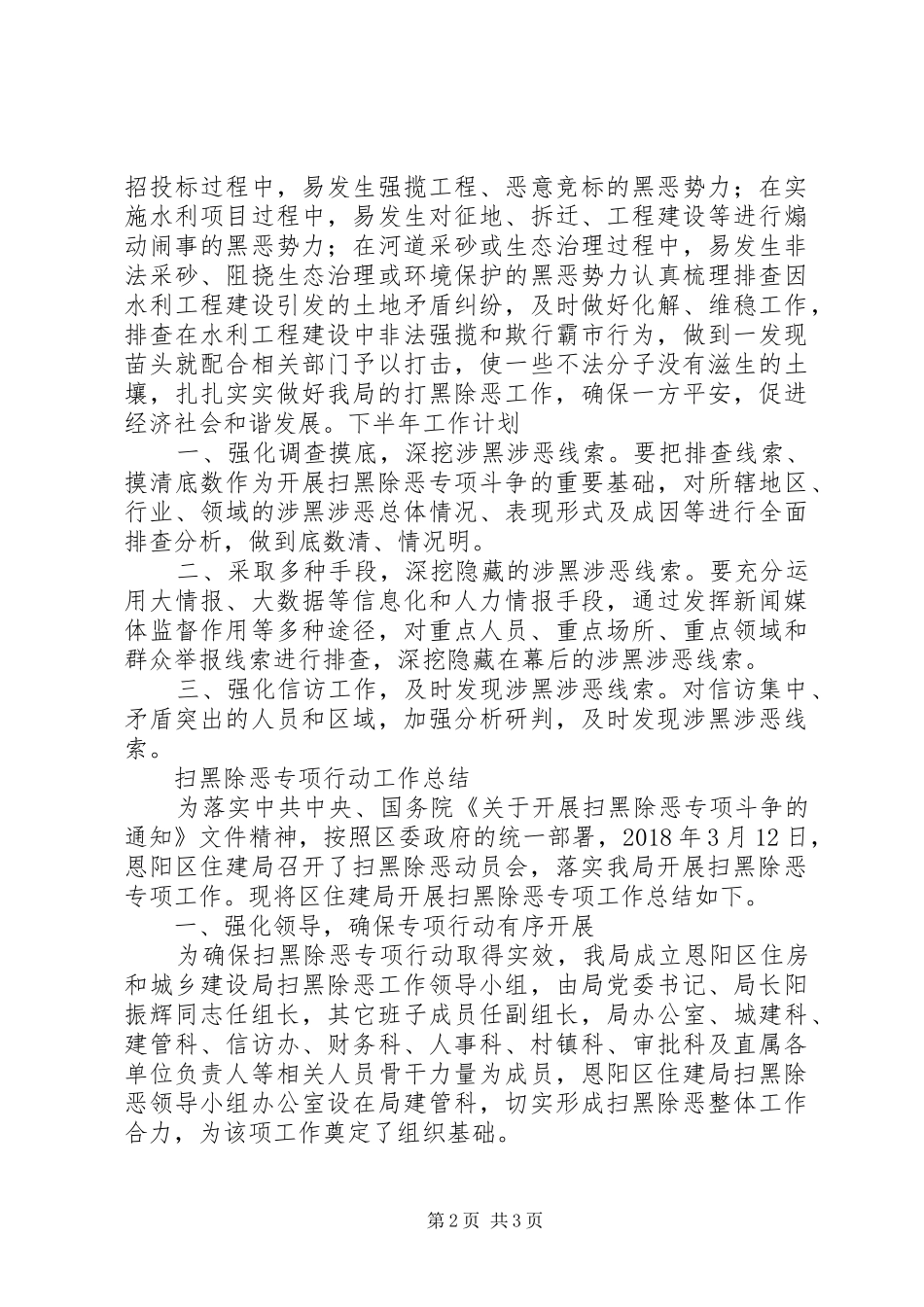 扫黑除恶专项行动工作总结 _第2页
