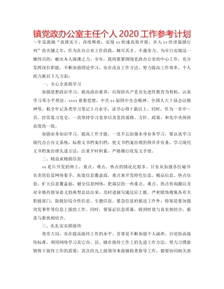 镇党政办公室主任个人2020工作参考计划 