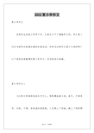 2024夏小学作文_3