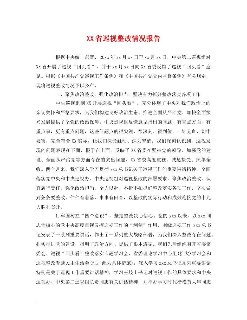 XX省巡视整改情况报告 _第1页