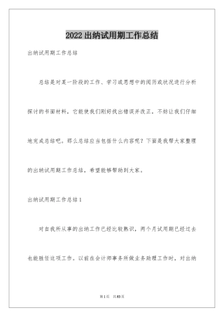 2024出纳试用期工作总结_17