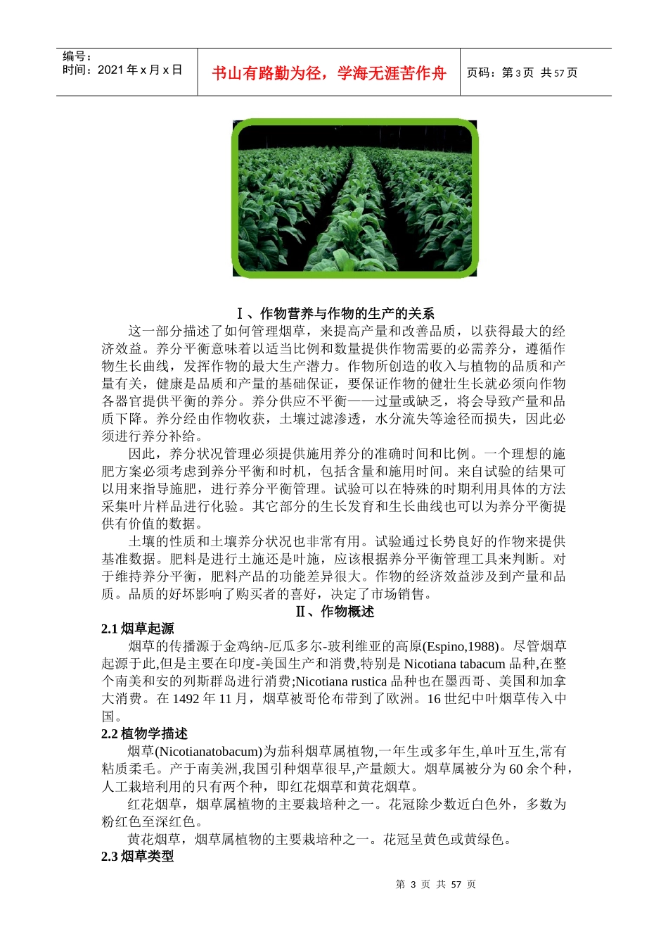 我国烟草栽培技巧讲义_第3页
