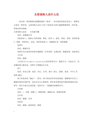 去看望病人送什么花 