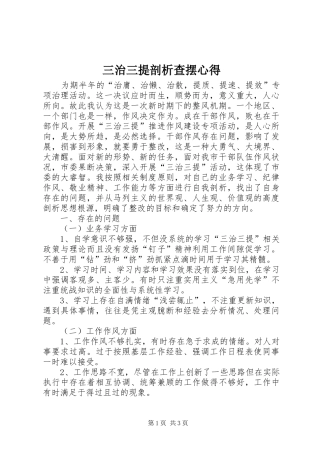 三治三提剖析查摆心得