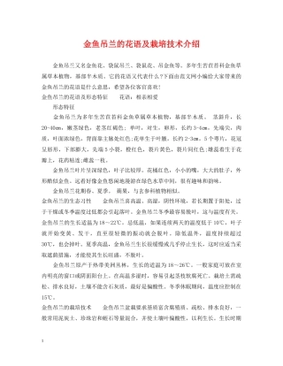 金鱼吊兰的花语及栽培技术介绍 