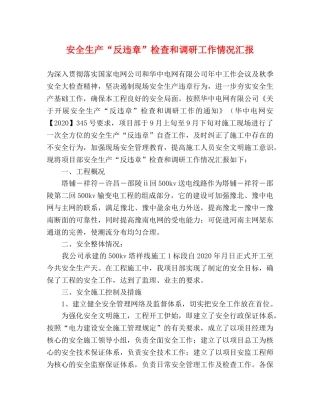 安全生产“反违章”检查和调研工作情况汇报 