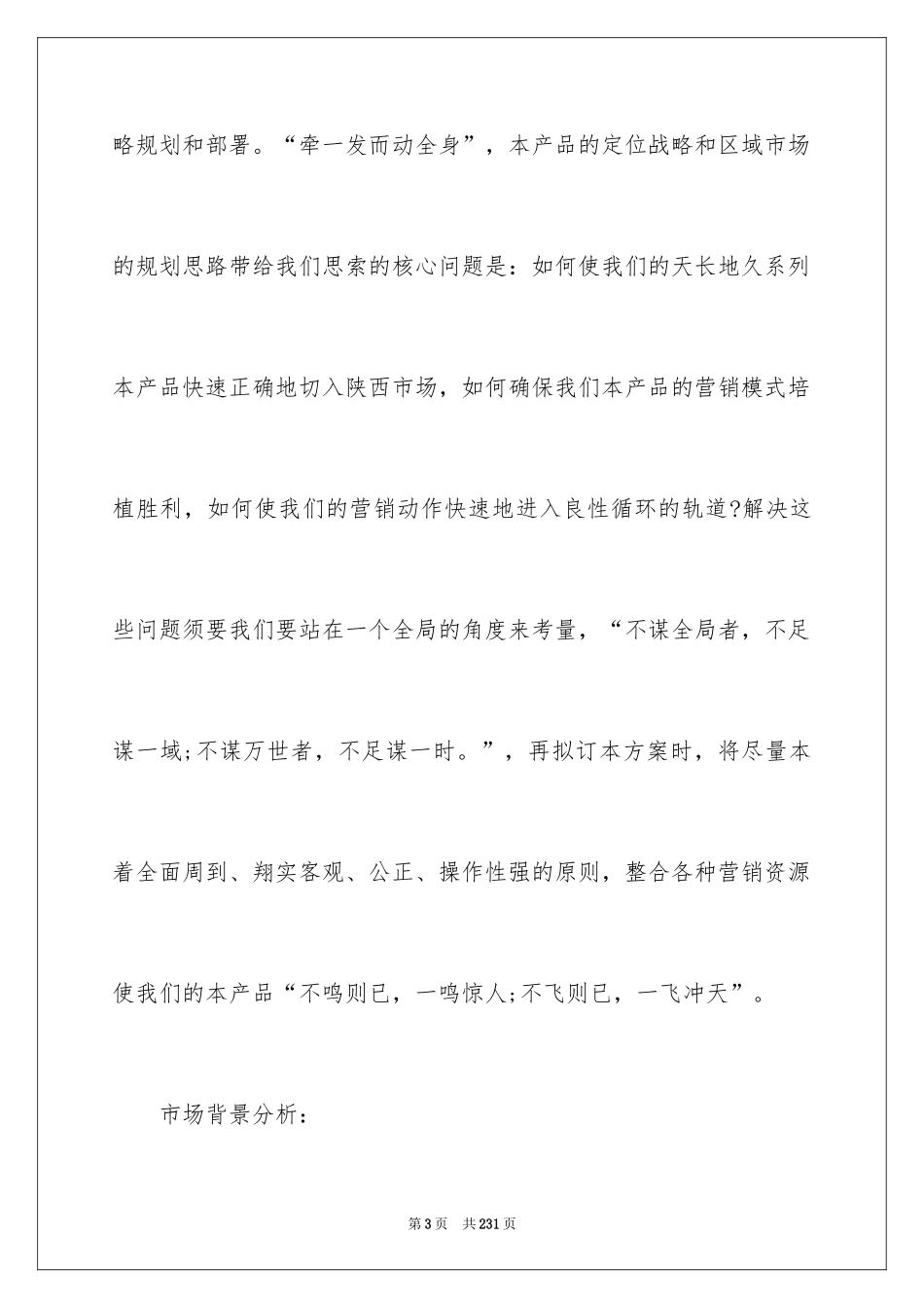 2024产品销售策划书_7_第3页