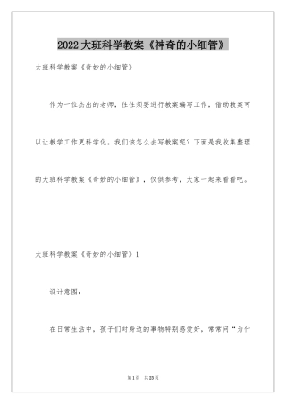 2024大班科学教案《神奇的小细管》