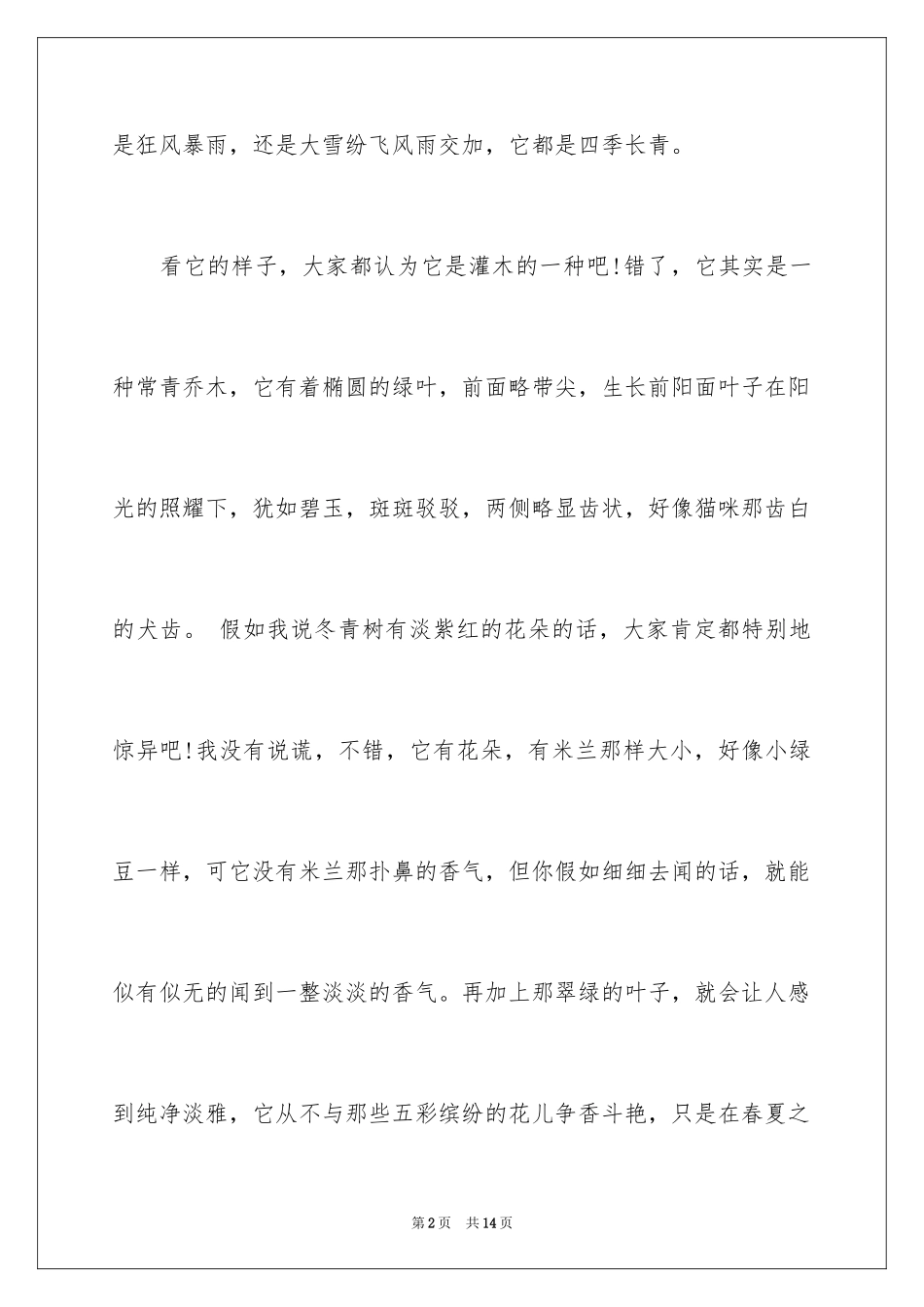 2024冬青作文300字_11_第2页