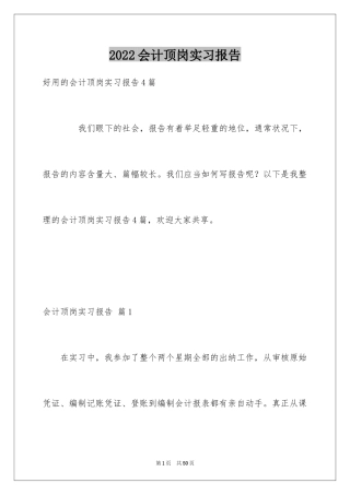 2024会计顶岗实习报告_5