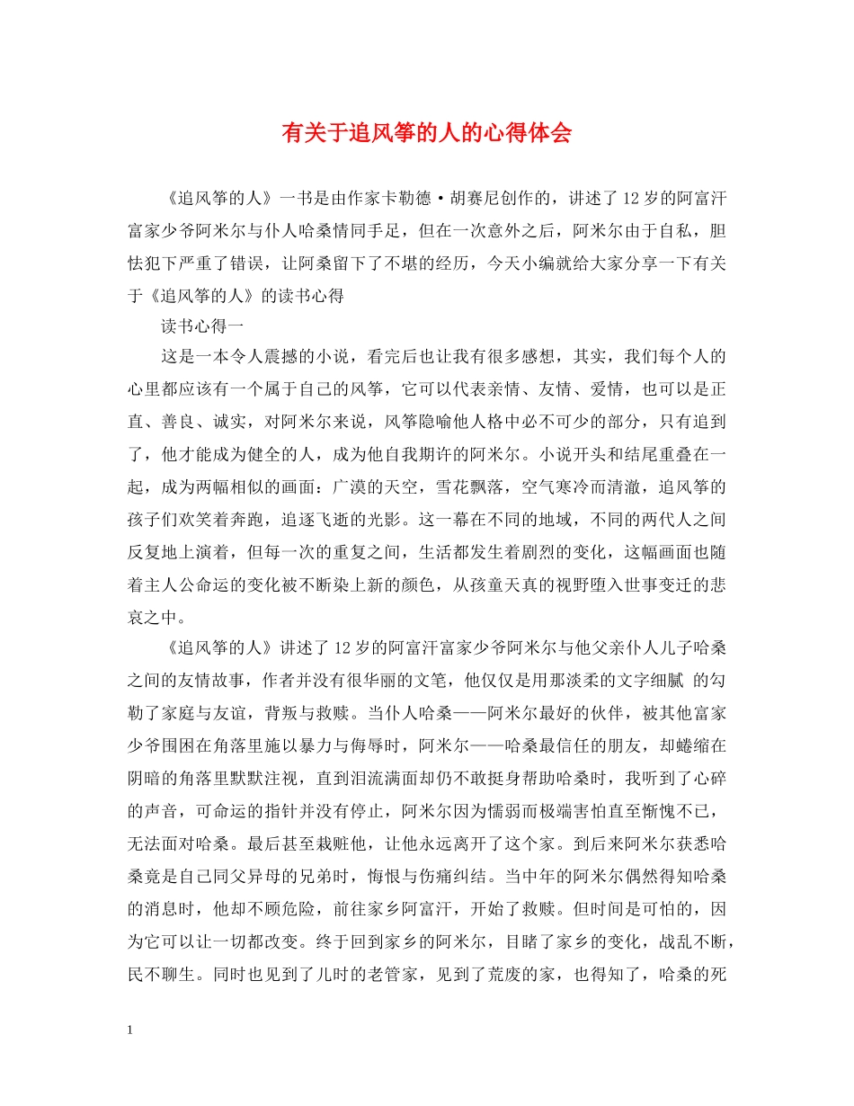 有关于追风筝的人的心得体会 _第1页