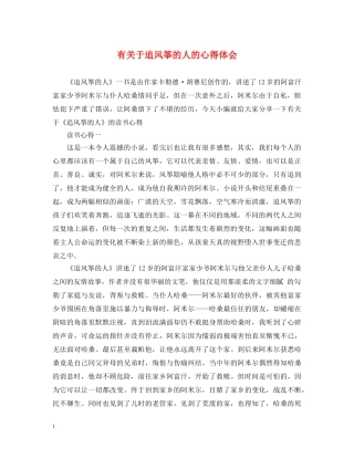 有关于追风筝的人的心得体会 