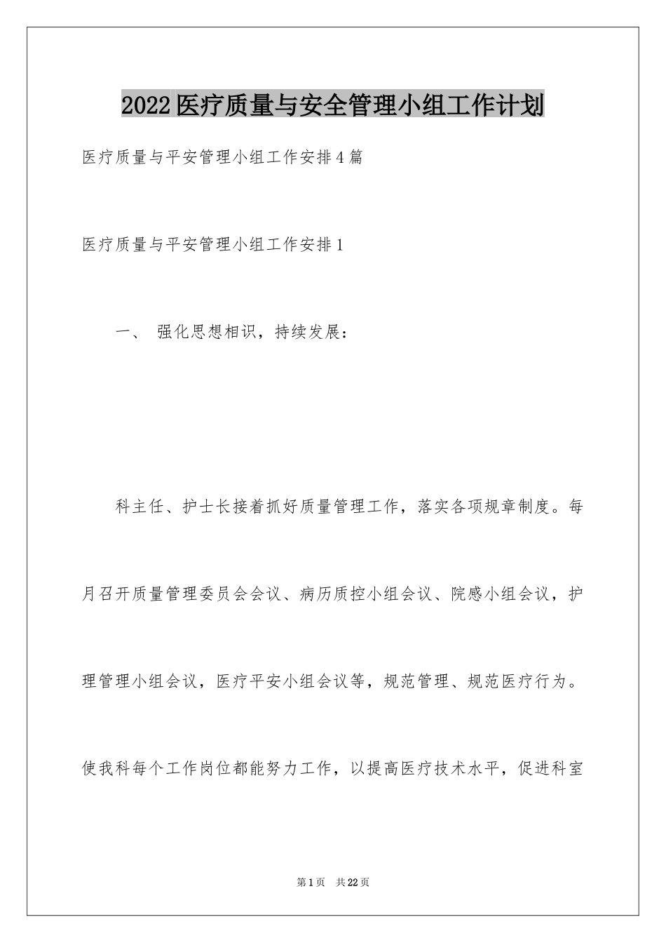 2024医疗质量与安全管理小组工作计划_2_第1页