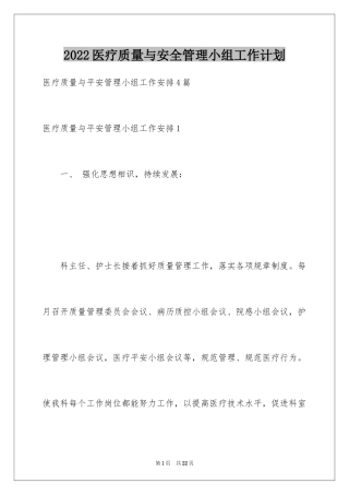 2024医疗质量与安全管理小组工作计划_2